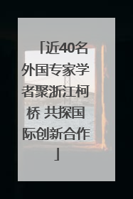近40名外国专家学者聚浙江柯桥 共探国际创新合作