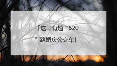 这里有趟“520”路婚庆公交车