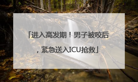 进入高发期!男子被咬后,紧急送入ICU抢救