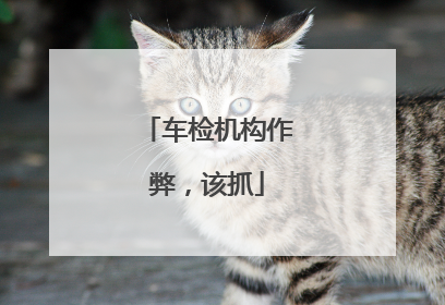 车检机构作弊，该抓
