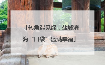 转角遇见绿，盐城滨海“口袋”盛满幸福
