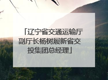 辽宁省交通运输厅副厅长杨树履新省交投集团总经理