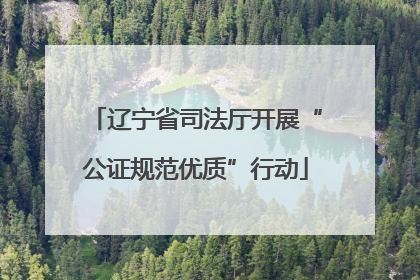 辽宁省司法厅开展“公证规范优质”行动