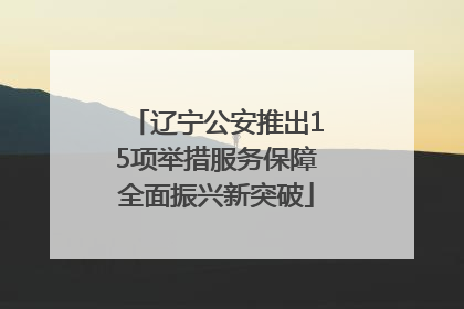 辽宁公安推出15项举措服务保障全面振兴新突破