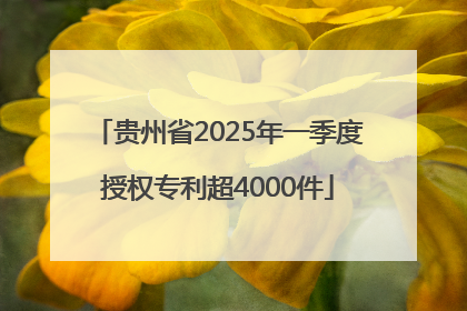 贵州省2025年一季度授权专利超4000件