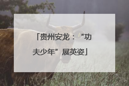 贵州安龙：“功夫少年”展英姿