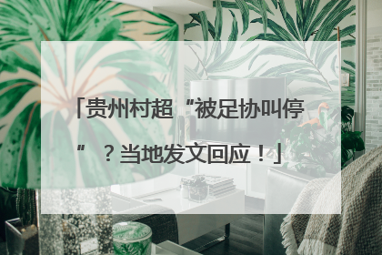 贵州村超“被足协叫停”？当地发文回应！