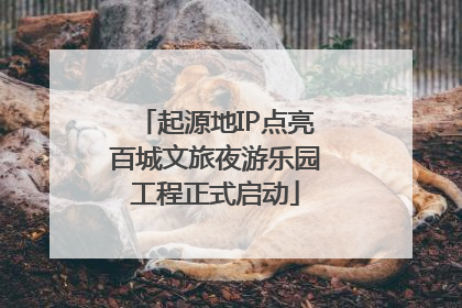 起源地IP点亮百城文旅夜游乐园工程正式启动