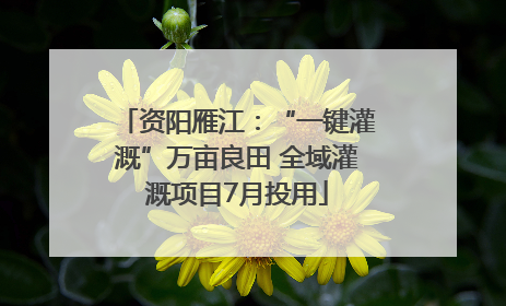 资阳雁江：“一键灌溉”万亩良田 全域灌溉项目7月投用