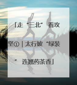 走“三北” 看攻坚①｜太行披“绿装” 连翘药茶香