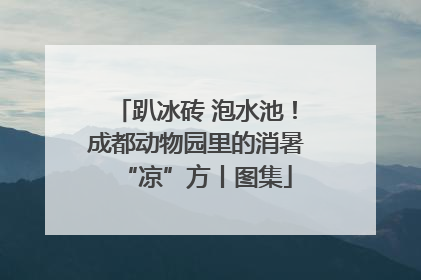 趴冰砖 泡水池！成都动物园里的消暑“凉”方丨图集