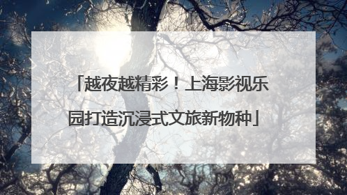 越夜越精彩！上海影视乐园打造沉浸式文旅新物种