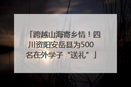 跨越山海寄乡情！四川资阳安岳县为500名在外学子“送礼”