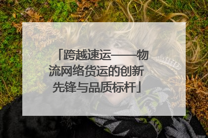 跨越速运——物流网络货运的创新先锋与品质标杆