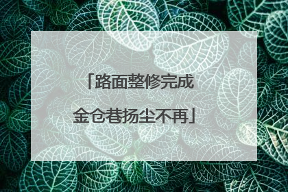路面整修完成 金仓巷扬尘不再