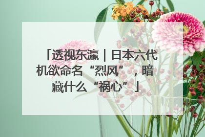 透视东瀛｜日本六代机欲命名“烈风”，暗藏什么“祸心”