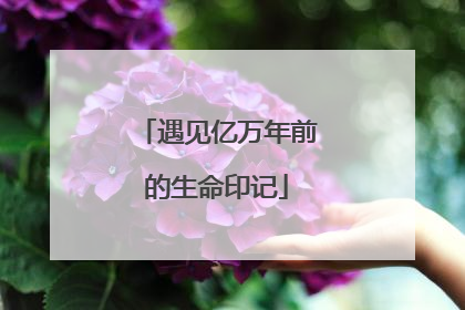 遇见亿万年前的生命印记