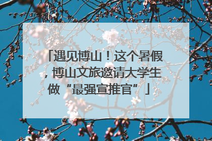遇见博山！这个暑假，博山文旅邀请大学生做“最强宣推官”