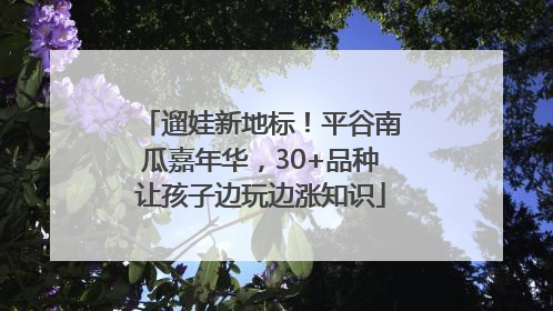 遛娃新地标!平谷南瓜嘉年华,30+品种让孩子边玩边涨知识