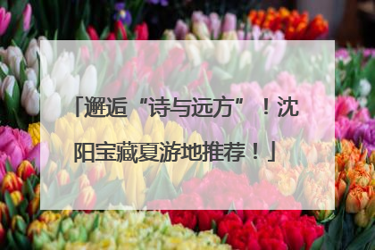 邂逅“诗与远方”！沈阳宝藏夏游地推荐！