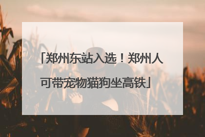 郑州东站入选！郑州人可带宠物猫狗坐高铁