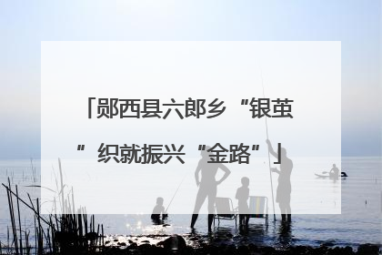 郧西县六郎乡“银茧”织就振兴“金路”