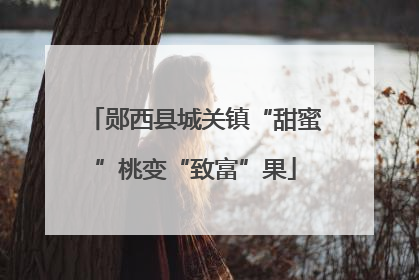 郧西县城关镇“甜蜜”桃变“致富”果