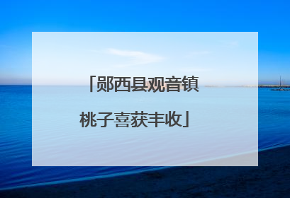郧西县观音镇桃子喜获丰收