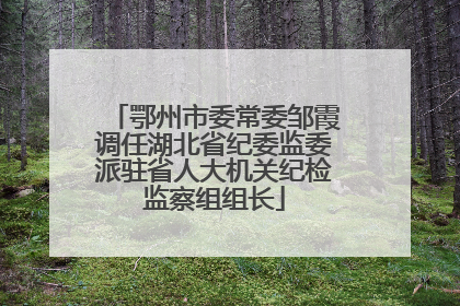 鄂州市委常委邹霞调任湖北省纪委监委派驻省人大机关纪检监察组组长