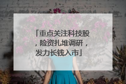 重点关注科技股，险资扎堆调研，发力长钱入市