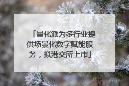 量化派为多行业提供场景化数字赋能服务，拟港交所上市