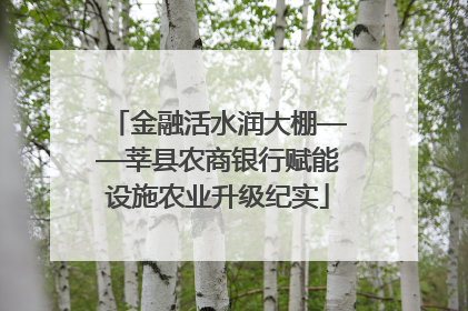 金融活水润大棚——莘县农商银行赋能设施农业升级纪实