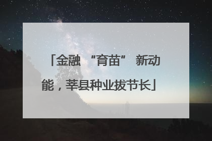 金融 “育苗” 新动能，莘县种业拔节长