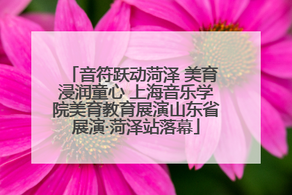 音符跃动菏泽 美育浸润童心 上海音乐学院美育教育展演山东省展演·菏泽站落幕