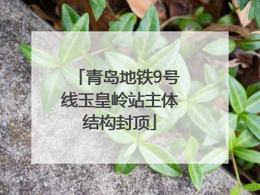 青岛地铁9号线玉皇岭站主体结构封顶