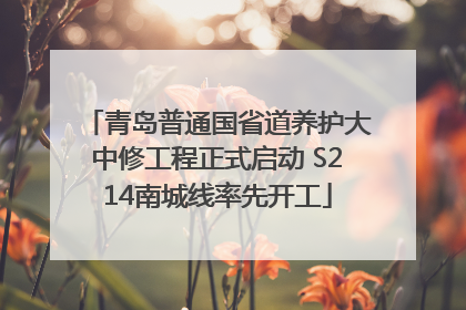 青岛普通国省道养护大中修工程正式启动 S214南城线率先开工