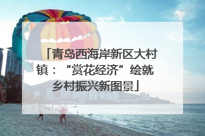 青岛西海岸新区大村镇：“赏花经济”绘就乡村振兴新图景