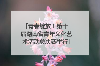 青春绽放！第十一届湖南省青年文化艺术活动总决赛举行