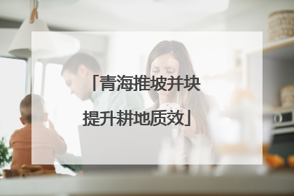 青海推坡并块提升耕地质效
