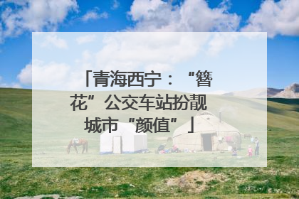 青海西宁：“簪花”公交车站扮靓城市“颜值”