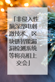 非侵入性脑深部电刺激技术、区块链智能漏洞检测系统等将亮相上交会