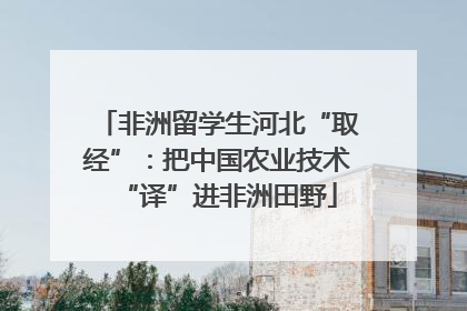 非洲留学生河北“取经”：把中国农业技术“译”进非洲田野
