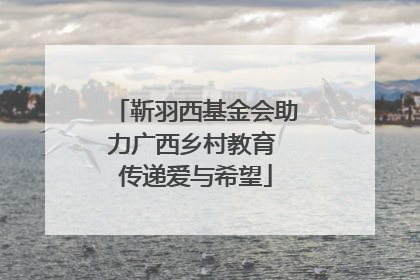 靳羽西基金会助力广西乡村教育 传递爱与希望
