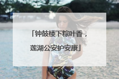 钟鼓楼下粽叶香，莲湖公安护安康