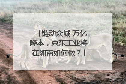 链动众城 万亿降本，京东工业将在湖南如何做？