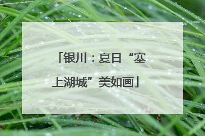 银川：夏日“塞上湖城”美如画