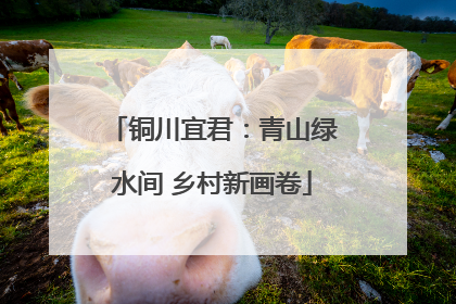 铜川宜君：青山绿水间 乡村新画卷