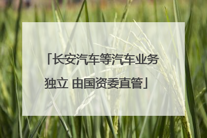 长安汽车等汽车业务独立 由国资委直管