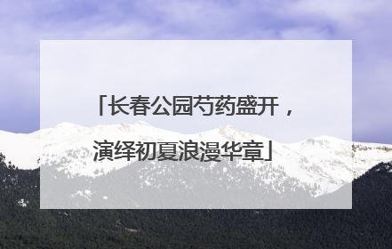 长春公园芍药盛开，演绎初夏浪漫华章