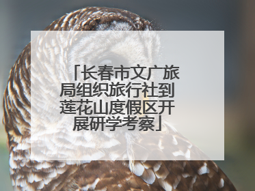 长春市文广旅局组织旅行社到莲花山度假区开展研学考察